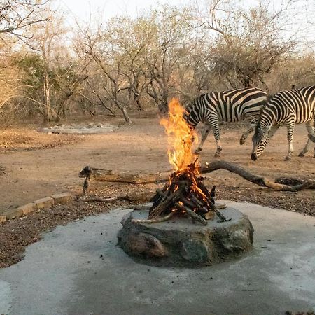 Hello Kruger Hideaway Cottage & Skilpad Studio Марлот-Парк Экстерьер фото