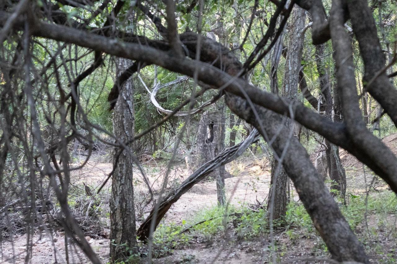 Hello Kruger Hideaway Cottage & Skilpad Studio Марлот-Парк Экстерьер фото