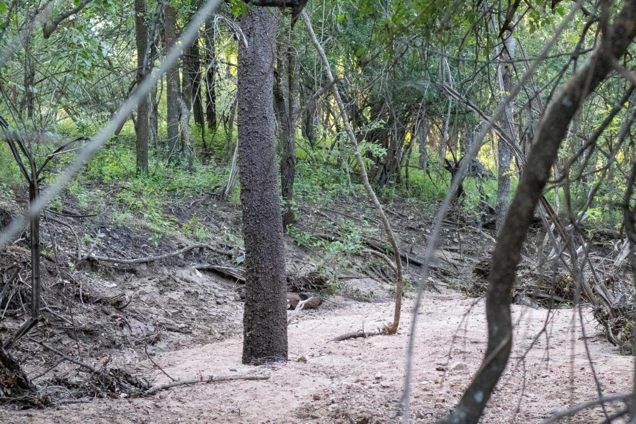 Hello Kruger Hideaway Cottage & Skilpad Studio Марлот-Парк Экстерьер фото