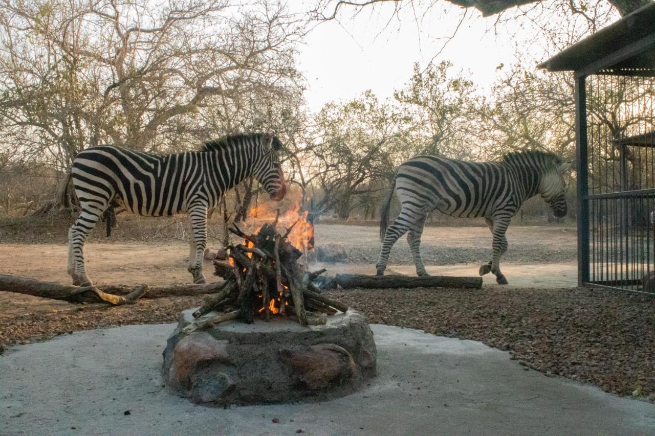 Hello Kruger Hideaway Cottage & Skilpad Studio Марлот-Парк Экстерьер фото